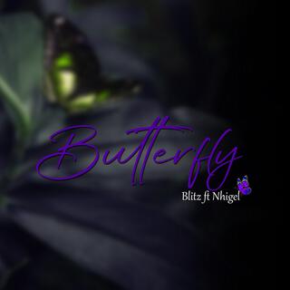 Butterfly - Blitz