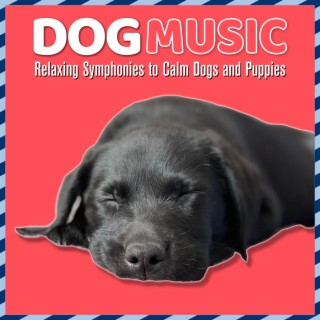 Dog Music: Relaxing Symphonies to Calm Dogs and Puppies