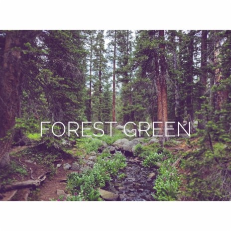 Forest Green | Boomplay Music