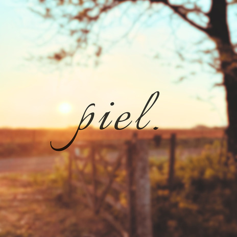 Piel | Boomplay Music