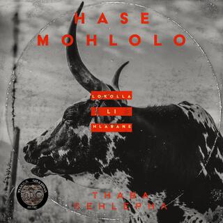 HASE MOHLOLO