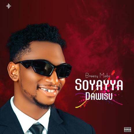 Soyayya Dawisu | Boomplay Music