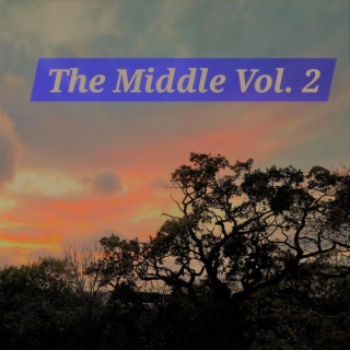 The Middle, Vol. 2