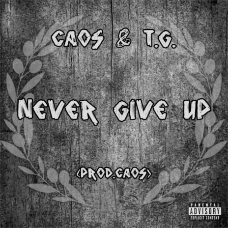 Never Give Up ft. T.G. | Boomplay Music