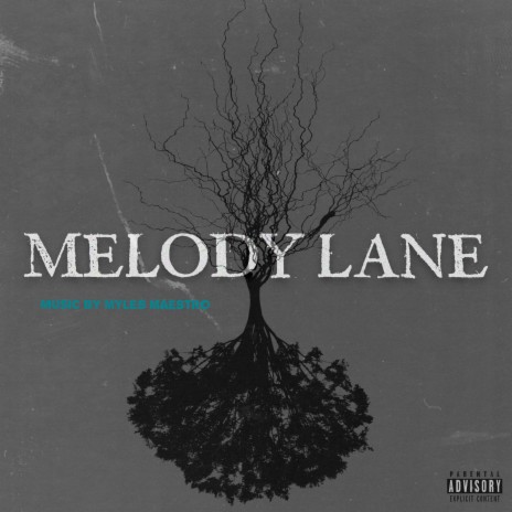 Melody Lane | Boomplay Music