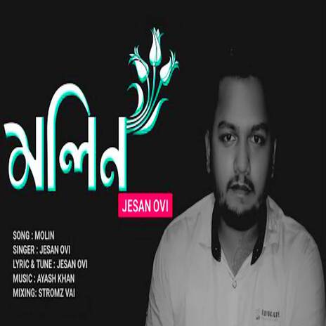 Molin | Boomplay Music