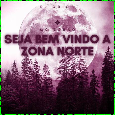 SEJA BEM VINDO A ZONA NORTE ft. Dj Odio & Mc Lobão | Boomplay Music