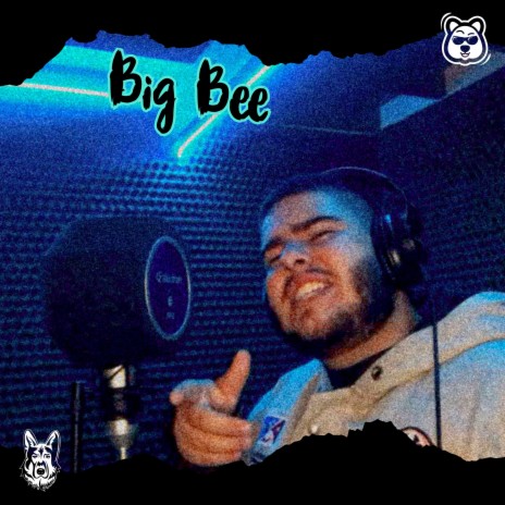 Big Bee | Boomplay Music