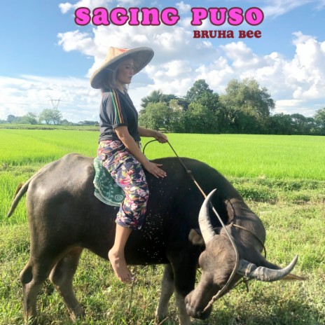 Saging Puso