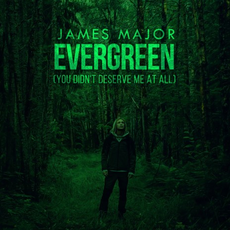 Evergreen (You Didn't Deserve Me At All) | Boomplay Music