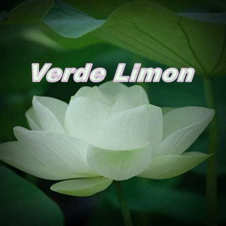 Verde Limon | Boomplay Music