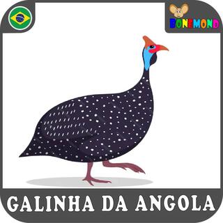 Galinha da Angola