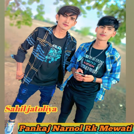 Pankaj Narnol Rk Mewati | Boomplay Music