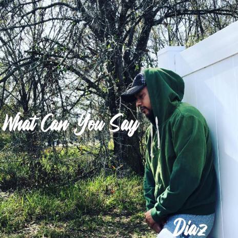 What Can You Say | Boomplay Music