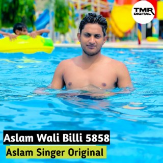 Aslam Wali Billi 5858