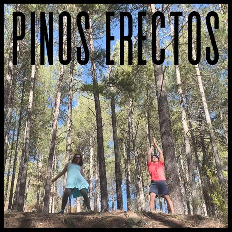 Pinos Erectos ft. J Vida, Dystorizon & Fana | Boomplay Music