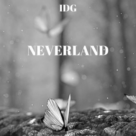 Neverland | Boomplay Music