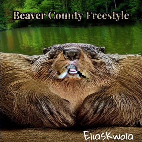 Beaver County Freestyle | Boomplay Music