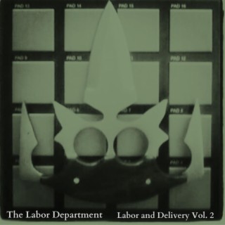 Labor and Delivery, Vol. 2