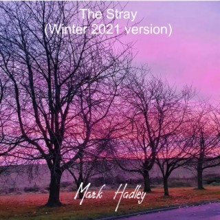 The Stray (Winter 2021 version)