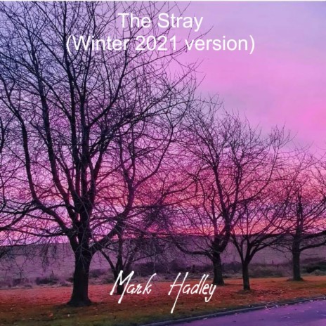 The Stray (Winter 2021 version)