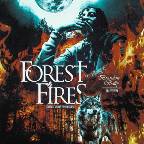 Forest Fires | Boomplay Music