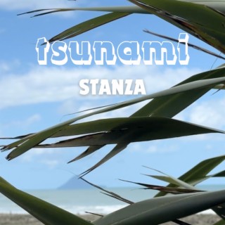 Tsunami lyrics | Boomplay Music
