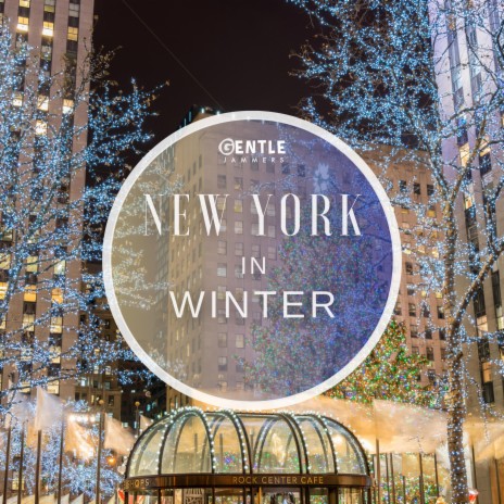 New York In Winter