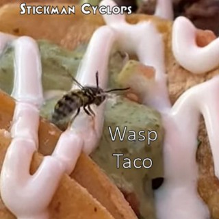 Wasp Taco