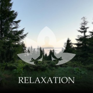8D Relaxing Meditation Music
