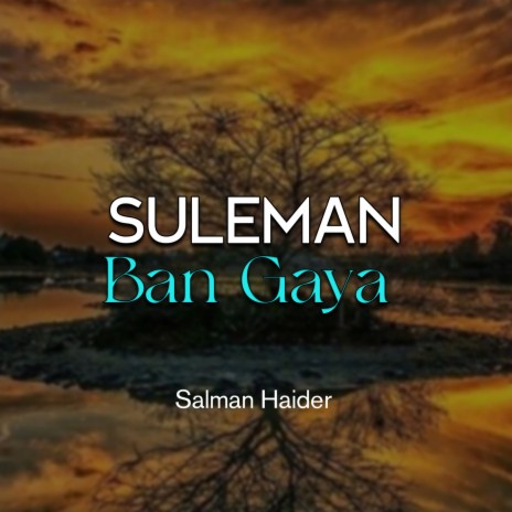 Suleman Ban Gaya | Boomplay Music