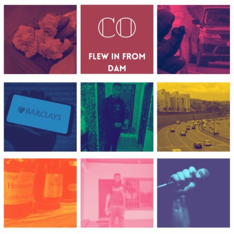 Flew In From Dam | Boomplay Music