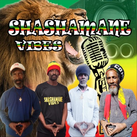 Shashamane Vibes ft. Vibes Pusher, Special Asher & Teddy Dan