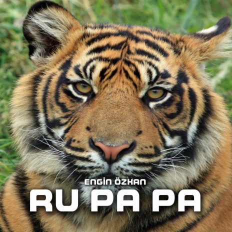 Ru Pa Pa | Boomplay Music