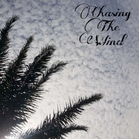 Chasing the Wind | Boomplay Music