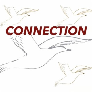 Connection