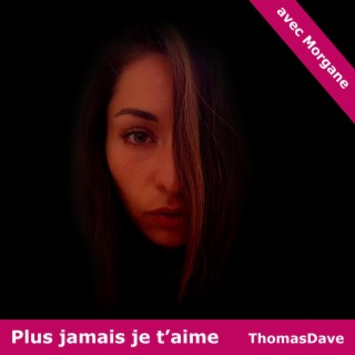 Plus jamais je t'aime lyrics | Boomplay Music