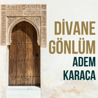 Divane Gönlüm