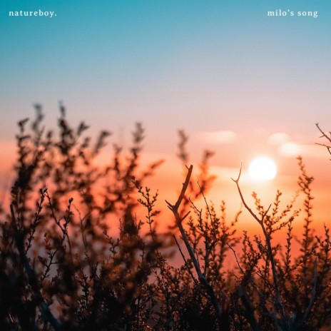 milo's song | Boomplay Music