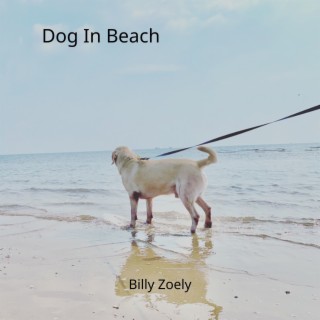 Dog in Beach