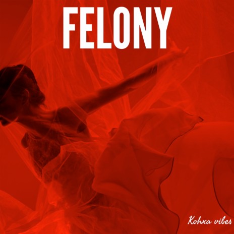 Felony | Boomplay Music