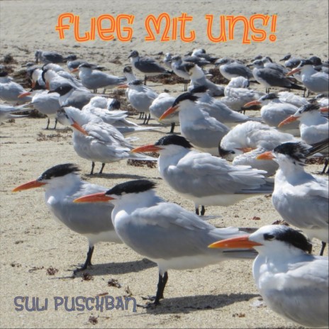 Flieg mit uns | Boomplay Music