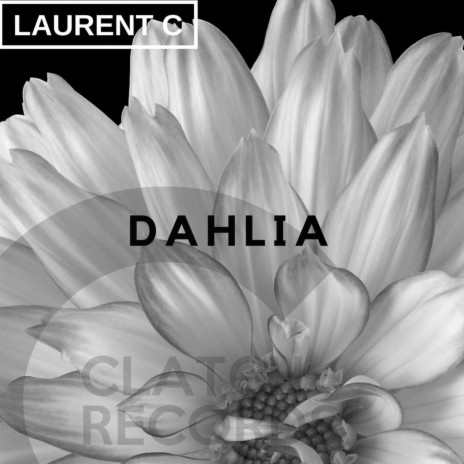 Dhalia | Boomplay Music