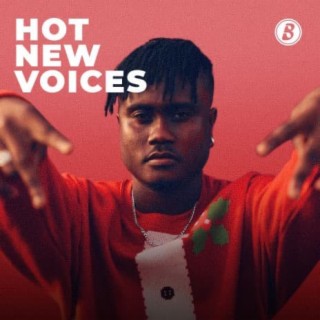 Hot New Voices