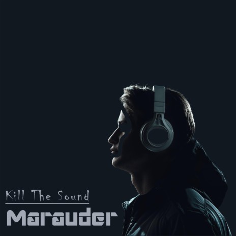 Kill The Sound | Boomplay Music