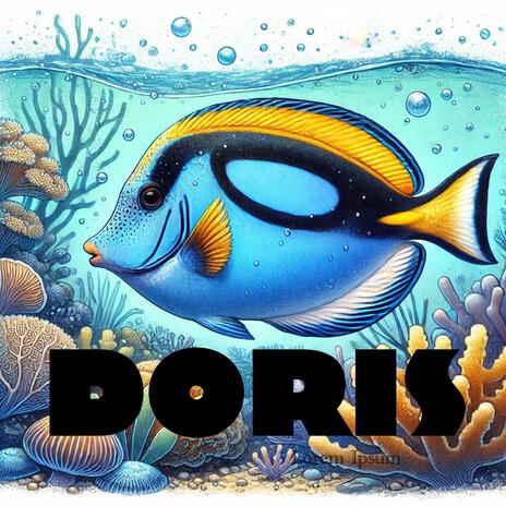 Doris