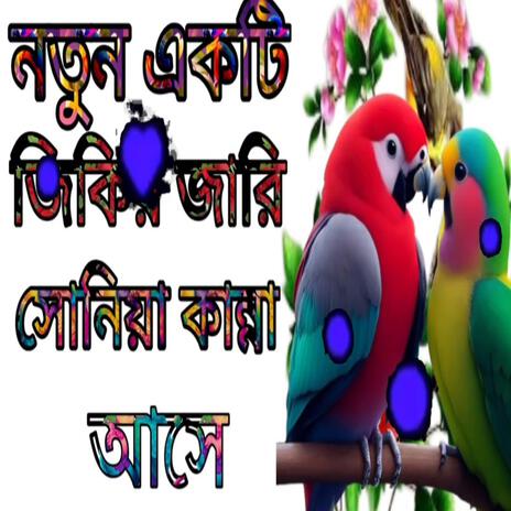 নতুন জিকির জারি সোনিয়া বহুৎ ভালো লাগলো।।