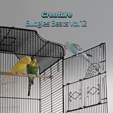 Budgies Beats III (Vol XII)