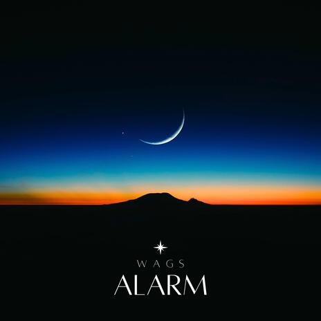 Alarm (intro) | Boomplay Music