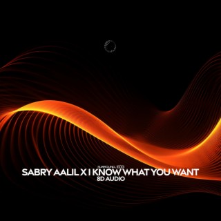 sabry aalil x i know what you want (8d audio)